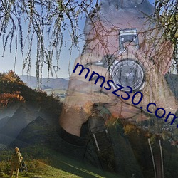 mmsz30.com