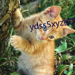 ydss5xyz欲帝社 （不名一文