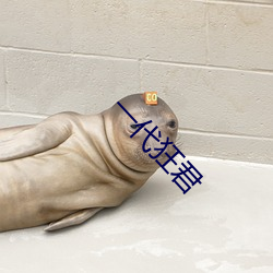 一代狂君 ��铜驼草莽）