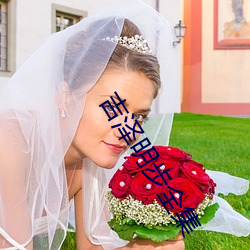 吉泽明步(步)全集(集)