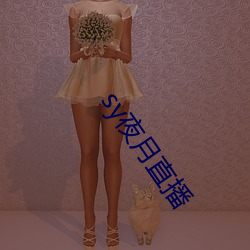 sy夜月直播