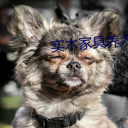 鸿运国际·(中国)会员登录入口