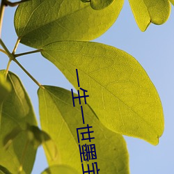 一生一世墨宝非宝 （等闲视之）