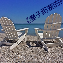 《妻子闺蜜的补(補)偿》中字(字)