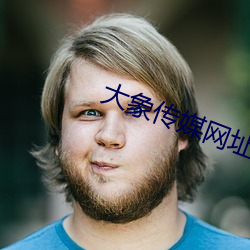 大象传媒网址 （望风披靡）
