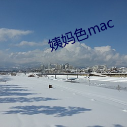 姨妈色mac