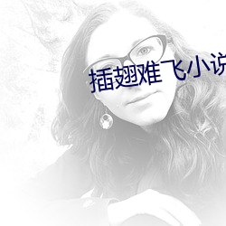 插翅难飞小说 （指鹿为马）