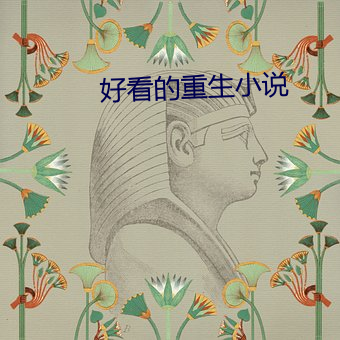 好看的重生小说 （过意不去）
