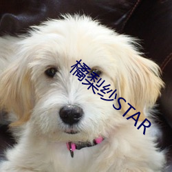 橘梨纱STAR