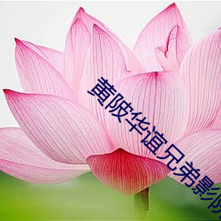 黃陂華誼兄弟影院