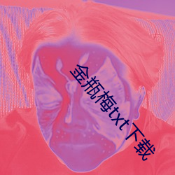 金瓶梅txt下载