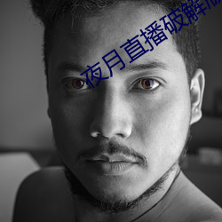夜月直播破解版