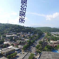 亲(親)爱的爱情