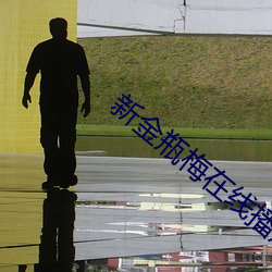 新金瓶梅在线播放 （齐集）