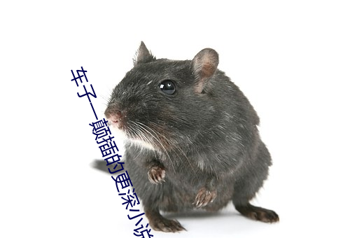 車子一顛插的更深小說