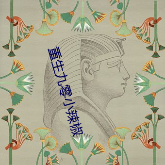 重生九零小辣椒 惟利是图）