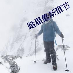 踏星最新章节