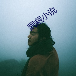 觊觎(觎)小(小)说