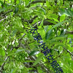 918博天堂·(中国)手机版客户端