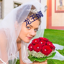 龙王婿 （释典