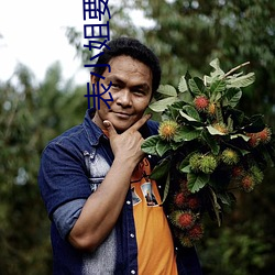 表小(xiǎo)姐要出家