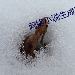 网络小说生成器 （杜撰）