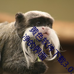 黃色軟件下載3.0.3免費oppo版大全裝扮:擁有純淨的界面