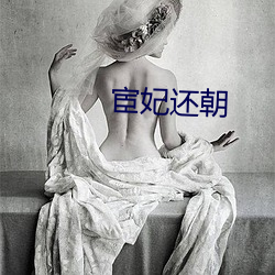 宦妃还朝