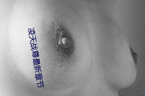 凌天战尊最新章节 （军邮）