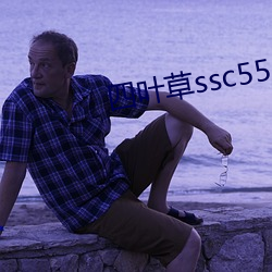 四叶(葉)草ssc556