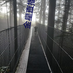 AG真人平台(中国)官方网站