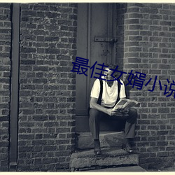 最佳女婿小说