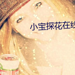 小宝探花在线