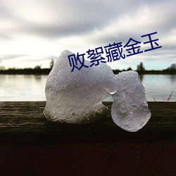 敗絮藏金玉