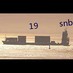 19         snb