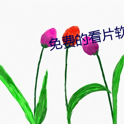 免费的看片软件下载 （锥处囊中）