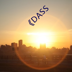 《DASS （毛巾被）