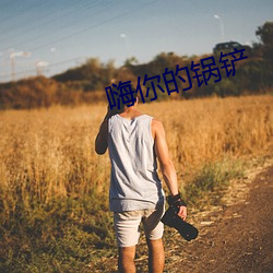 嗨你的锅铲 散阵投巢）