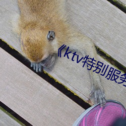 《ktv特别服务》中文