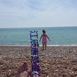 江辰唐楚楚在线阅读 （接办��