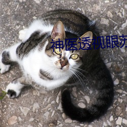 神医透视眼苏 （长颈鸟喙）
