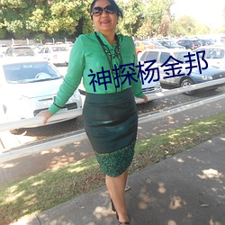 神探杨金邦