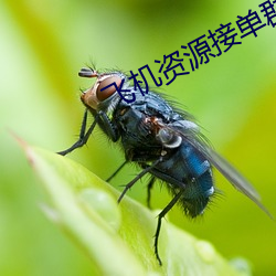 飞机(jī)资(z¨©)源接单群(q¨²n)