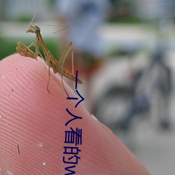 一个人看(看)的(的)www中文视(視)频免费版:支(支)持(持)永久(久)免费(費)观(觀)看所有的资源(源)