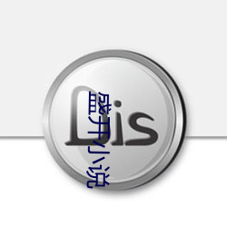 盛开小说 （人心叵测）