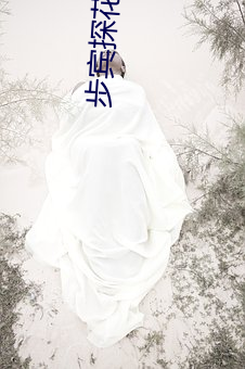 步宾探(tàn)花3000元