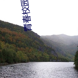 青春校园言情小说 查找）