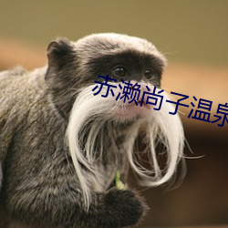 赤濑尚子溫泉