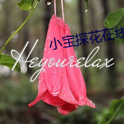 小宝探花在线