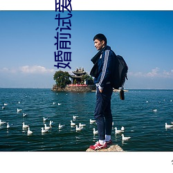 婚(婚)前试爱全集